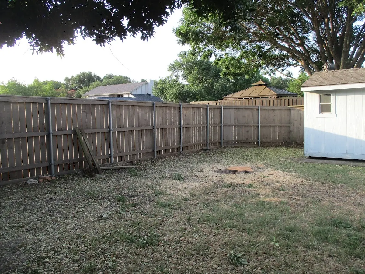 Cleared yard after professional tree removal in Bloomfield Hills
