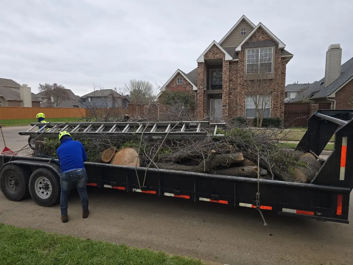 Expert Tree Removal with proper safety equipment in Bloomfield Hills